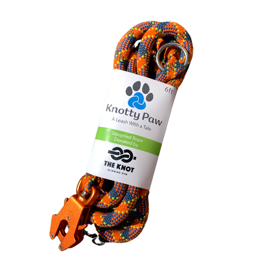 Recycled Dog Leash | Knotty Paw