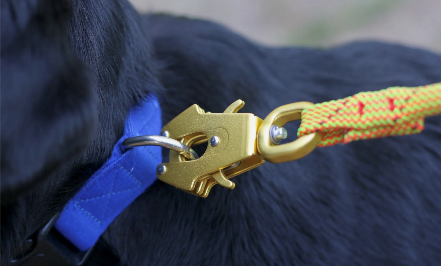 Recycled Dog Leash | Knotty Paw